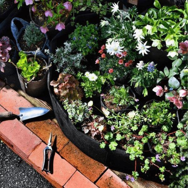 Hanging Felt Planter - EcoFelt