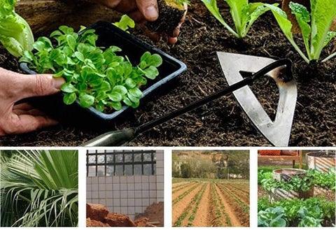 Stainless Steel Portable Weeding Hoe