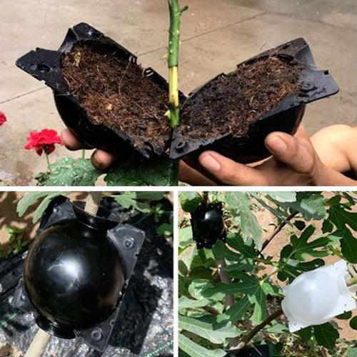 Rooting Box Kit for Plant Cloning - Air Layering
