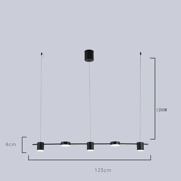 Pendant with European Design and Adjustable Height