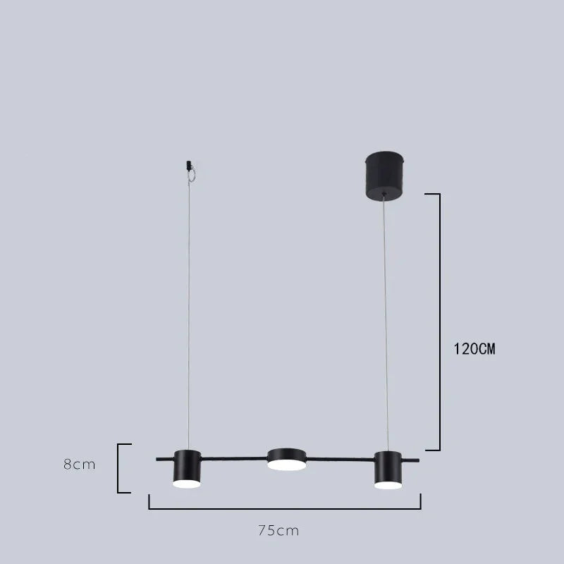Pendant with European Design and Adjustable Height