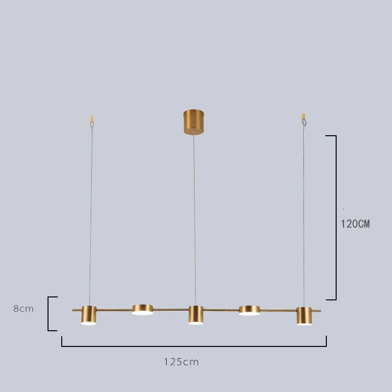 Pendant with European Design and Adjustable Height