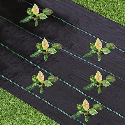 Weed Control Garden Soil Raffia
