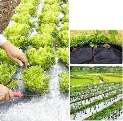 Weed Control Garden Soil Raffia