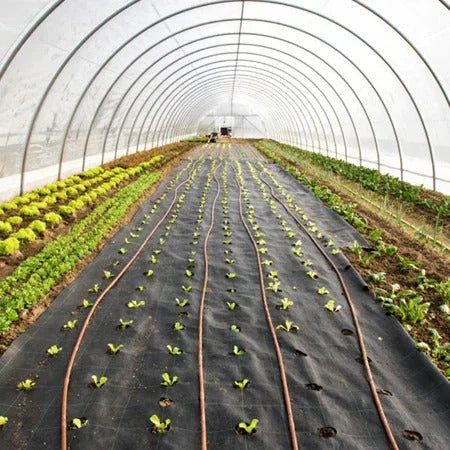Weed Control Garden Soil Raffia