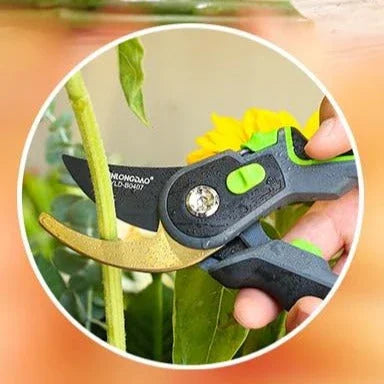 Professional Gardening Pruning Shears