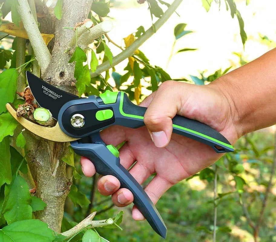 Professional Gardening Pruning Shears