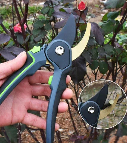 Professional Gardening Pruning Shears