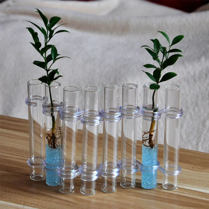 Adjustable Clear Glass Vase for Decoration