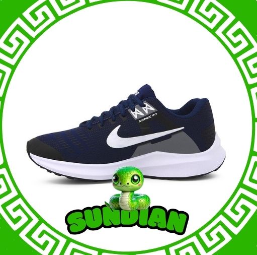 Tênis Nike Dinamic Fit Marinho/Branco