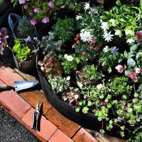 Hanging Felt Planter - EcoFelt