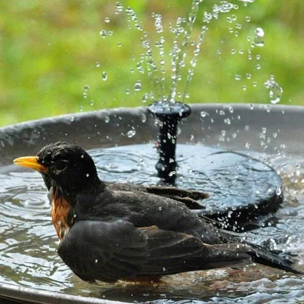 Fuente para pájaros con panel solar - Decoración de jardín