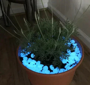 Magic Stones for Garden - Magic Stone